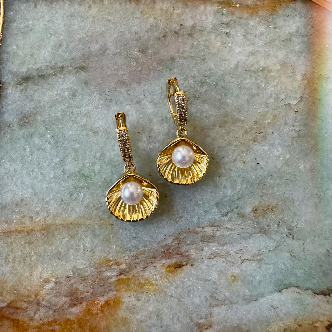 hidden treasure earrings