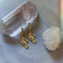 Load image into Gallery viewer, seahorse earrings
