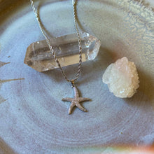 Load image into Gallery viewer, silver starfish
