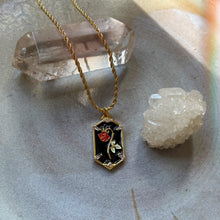 Load image into Gallery viewer, aurora
