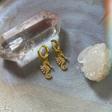 Load image into Gallery viewer, seahorse earrings
