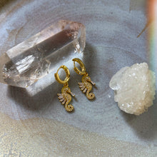 Load image into Gallery viewer, seahorse earrings
