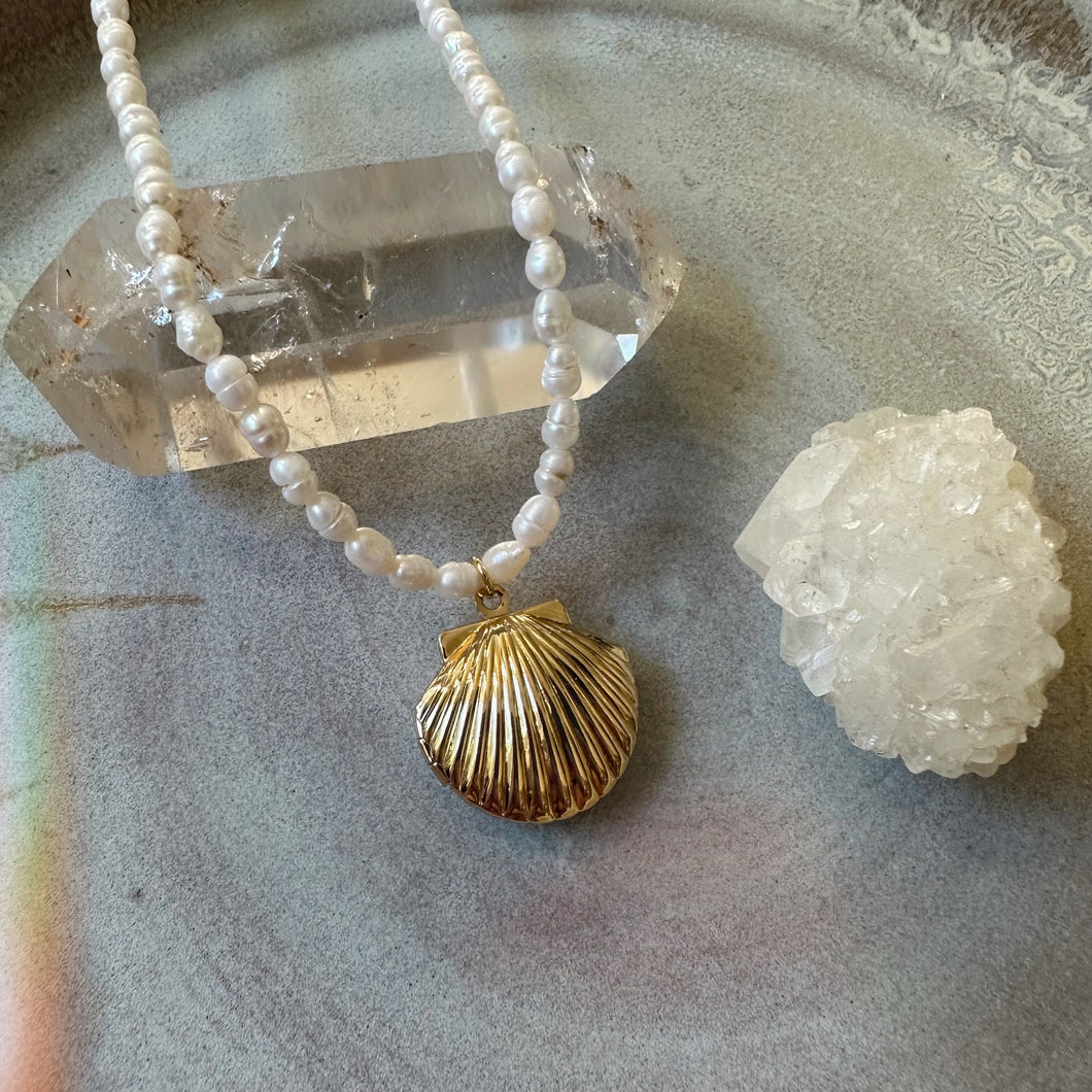 shell locket / gold