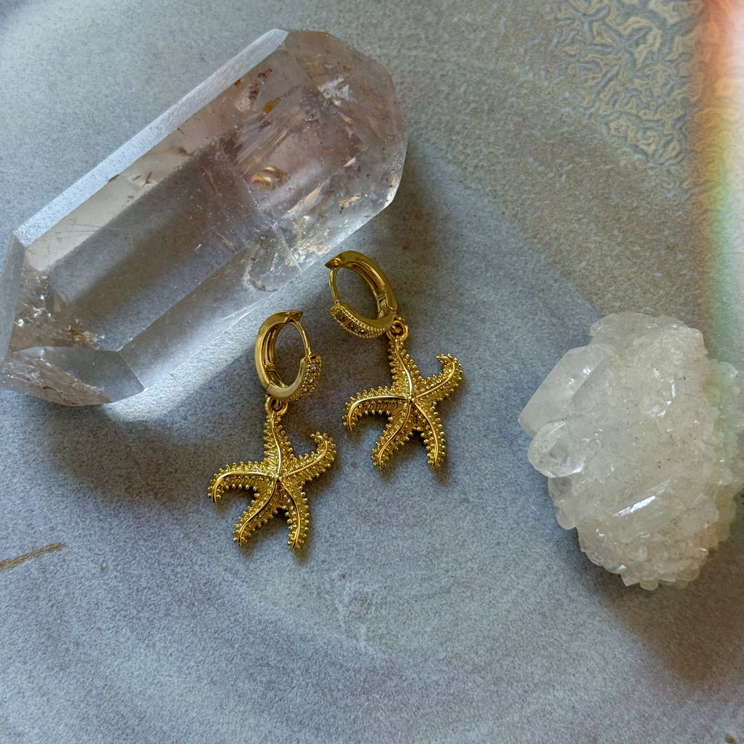 starfish earrings