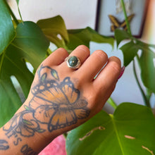 Load image into Gallery viewer, ocean jasper size 5.5
